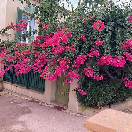 Villa De Charme A - Confort Serenite A 100m Du Village Porquerolles